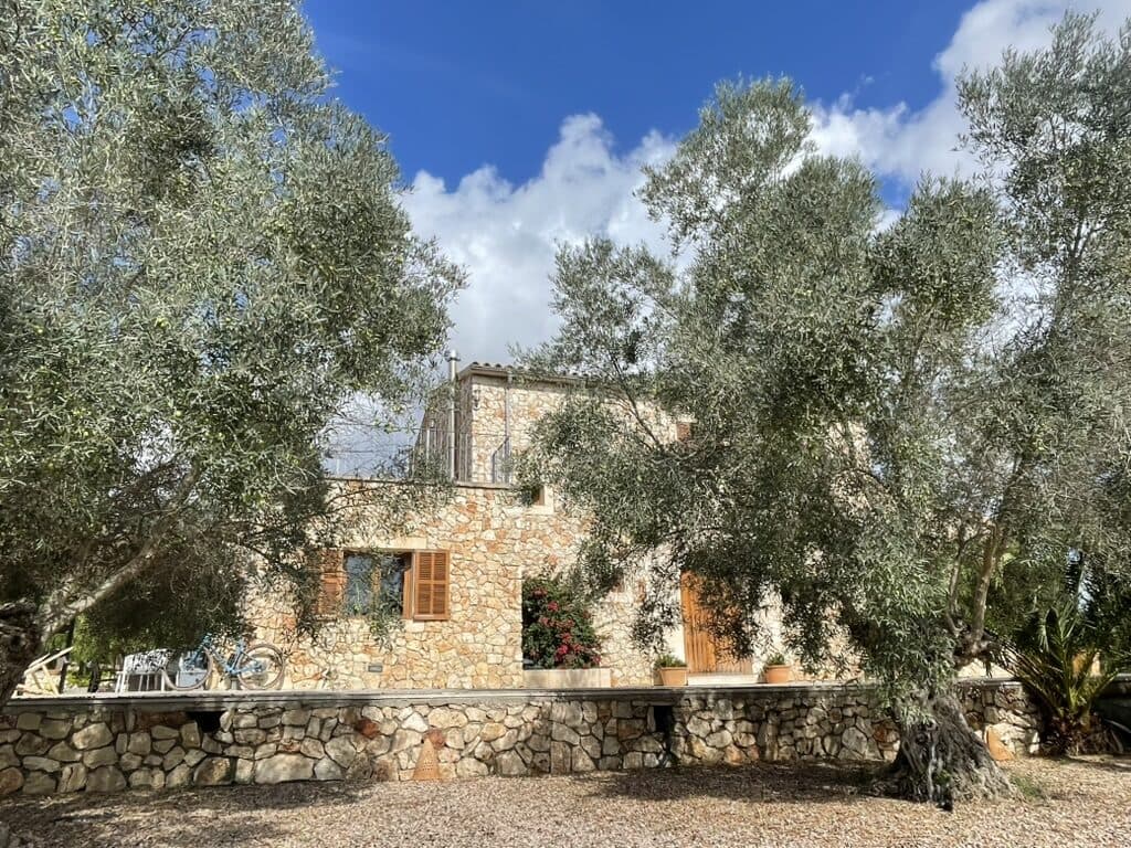 Traditional Mallorcan stone house between olive trees under a blue sky