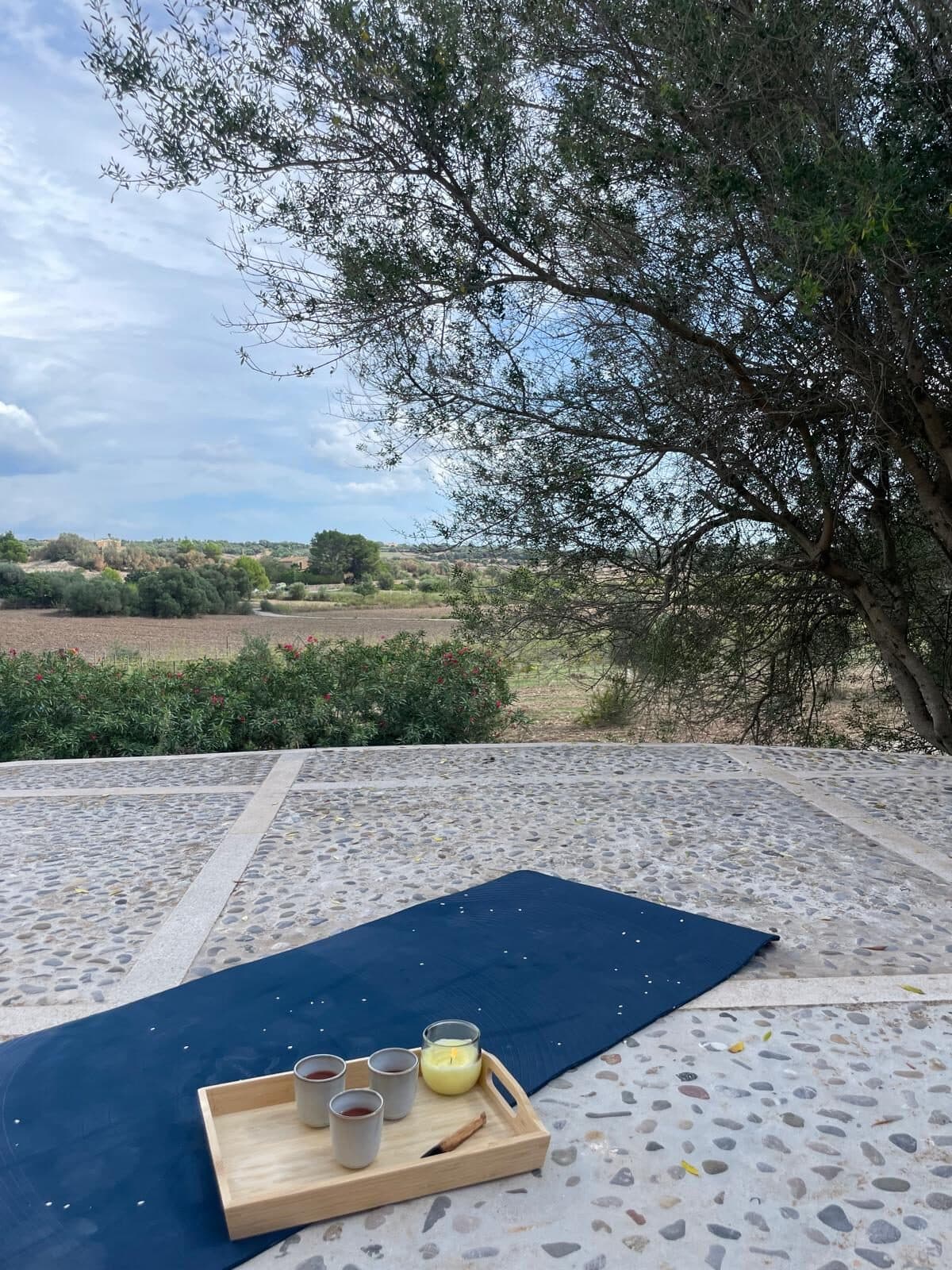 Yogamatte auf einer Terrasse, davor ein Tablett mit Chai-Gläsern, im Hintergrund ein Olivenbaum und Felder
