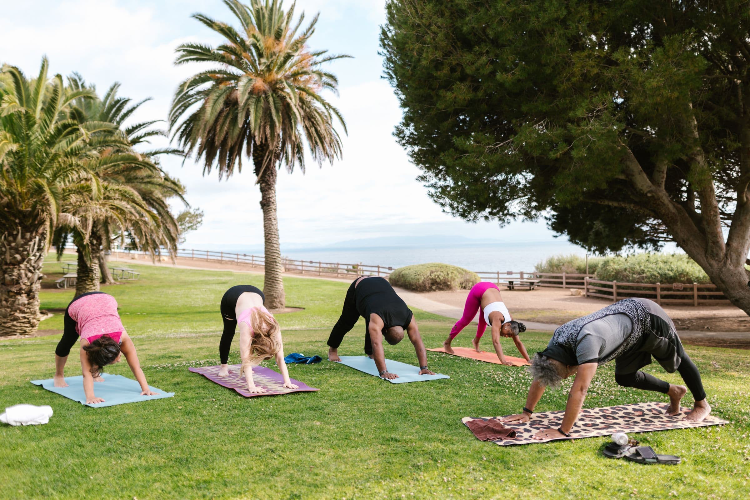 Gruppe beim Yoga im Park unter Palmen, im Hintergrund das Meer
